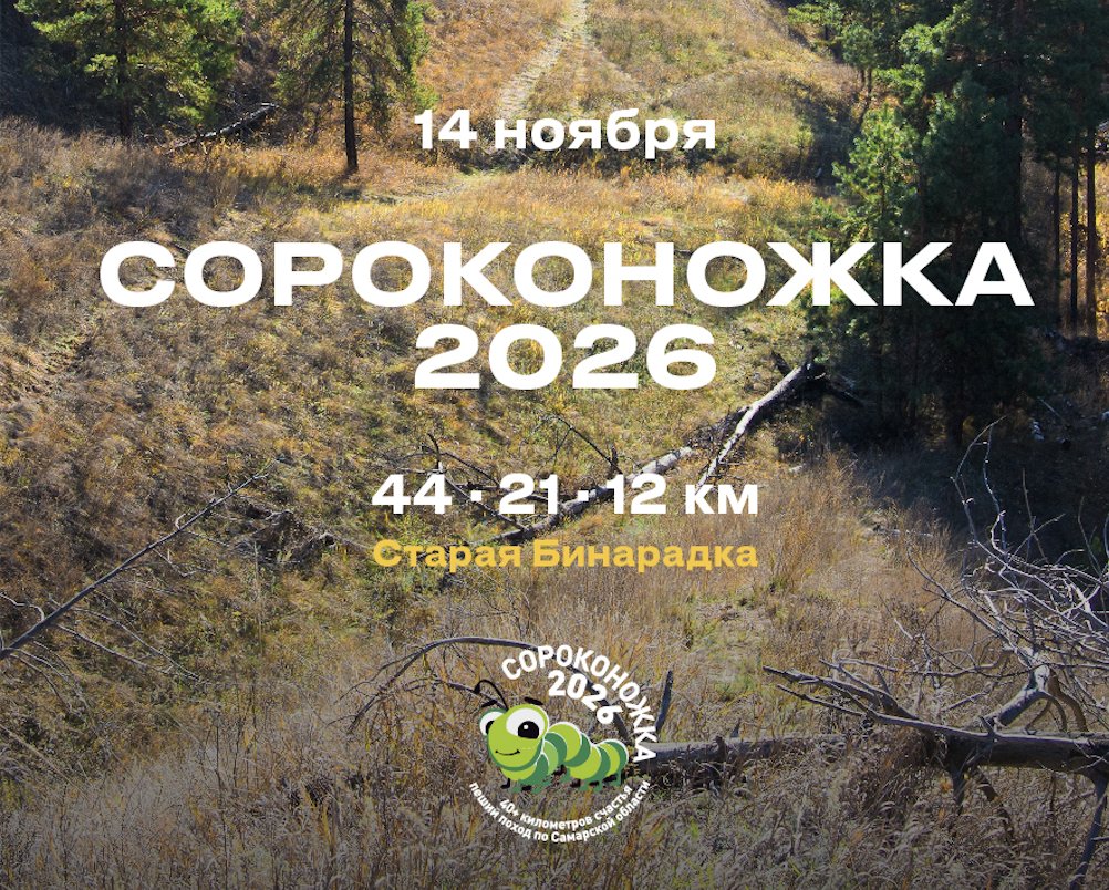 Автобус на "Сороконожку"